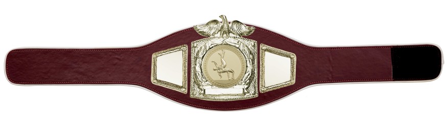 PROEAGLE WRESTLING CHAMPIONSHIP BELT - PROEAGLE/G/WRESTG - AVAILABLE IN 6+ COLOURS PROEAGLE WRESTLING CHAMPIONSHIP BELT - PROEAGLE/G/WRESTG - AVAILABLE IN 6+ COLOURS